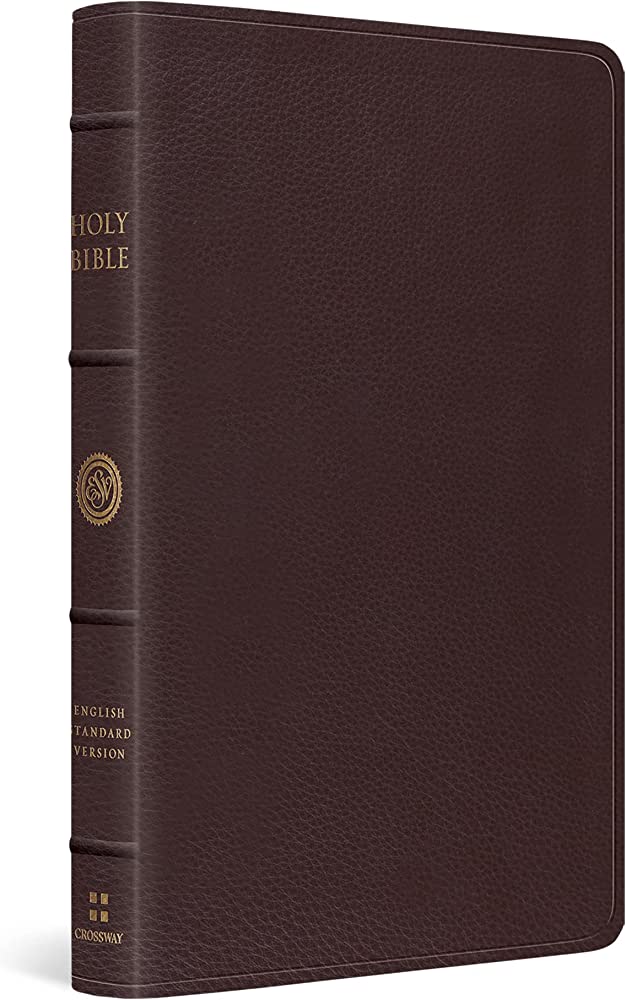 Discover Comfortable Reading With Esv Large Print Thinline Bible