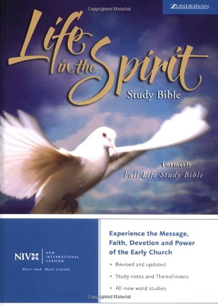 Experience The Power Of The Spirit With Large Print Bible