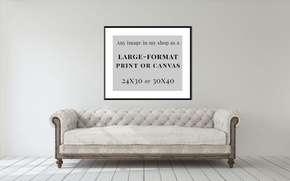 Large And Stunning Shop 24X30 Prints Today