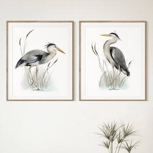 Beautiful Heron Prints Set Of 2 For Your Home Decor