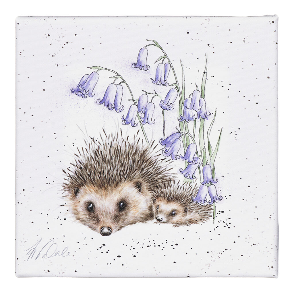 Cute And Quirky Hedgehog Print Designs For Your Home