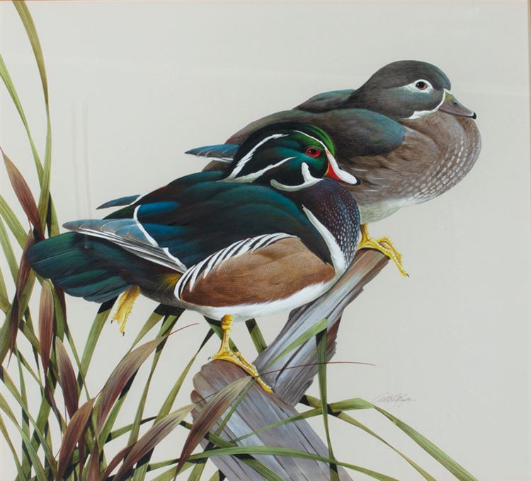 Discover The Beauty Of Art Lamays Iconic Duck Prints