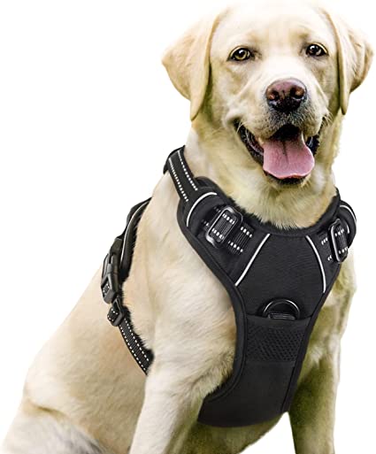 Get Your Paws On The Best Cow Print Dog Harness