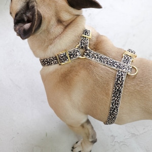 Stylish Cheetah Dog Harness For Your Furry Friend