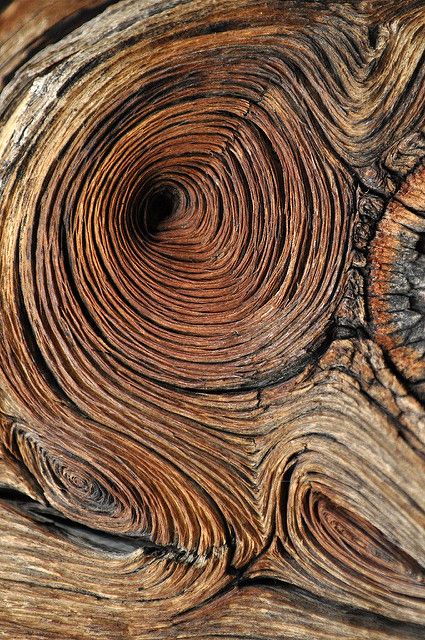 Unleash The Beauty Of Nature With Wood Grain Print Designs